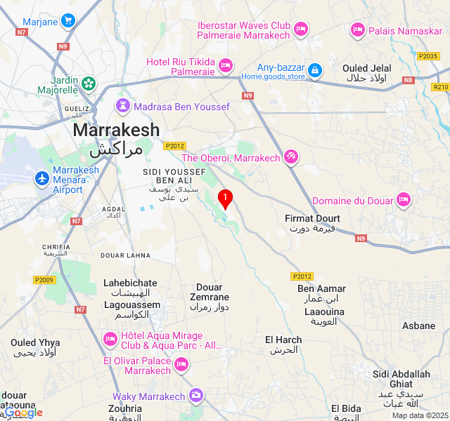 Park Hyatt Marrakech Park Hyatt Marrakech