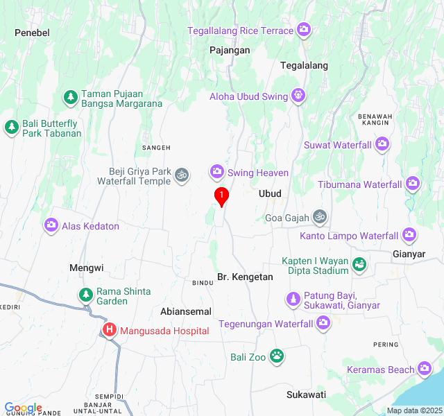 The Samaya Ubud Bali The Samaya Ubud Bali